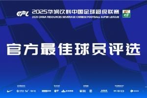 中超第24轮最佳球员候选:瓦科、刘若钒、哈达斯、钟义浩、茹子楠